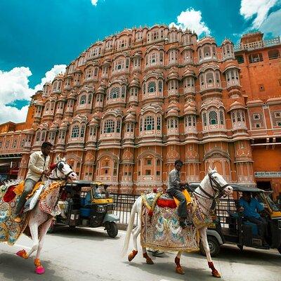 Jaipur Guided City Tour: City Palace, Jantar, Hawa & Jal Mahal