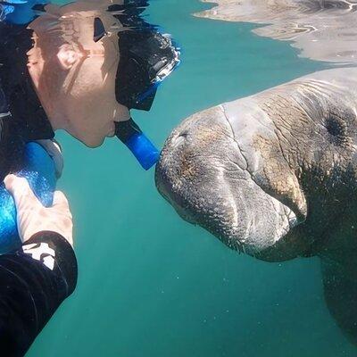 Semi-Private Manatee Swim Tour With Guide (Photos Included)