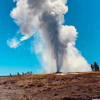 Private Lower Loop Tour of Yellowstone National Park 