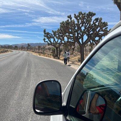 Private Sightseeing Tour of Joshua Tree National Park (Max 10)