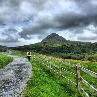 From Galway: Guided tour of Connemara with 3 hour stop at Connemara National Pk.