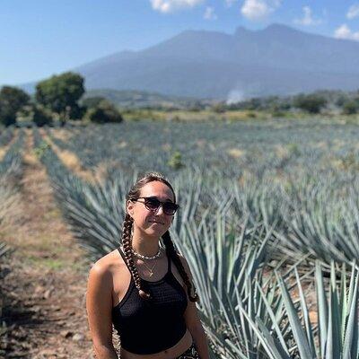 Full-Day Tour in Tequila factory and Cantaritos el Gúero