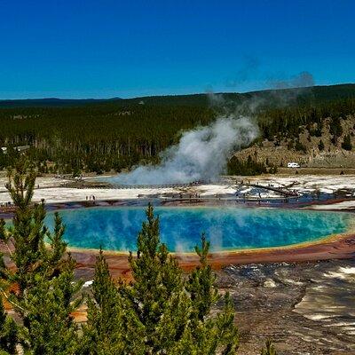 Full Day Private “Pet Friendly” Yellowstone Tour From Cody Wyo.