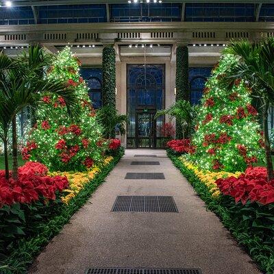 Longwood Gardens Holiday Lights Pop up tour