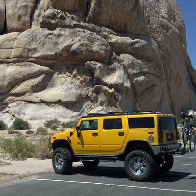 Joshua Tree National Park Scenic Tour