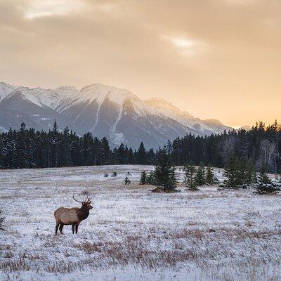 Discover Rocky Mountain National Park