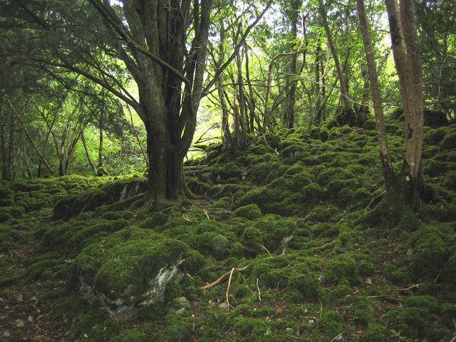 Killarney National Park