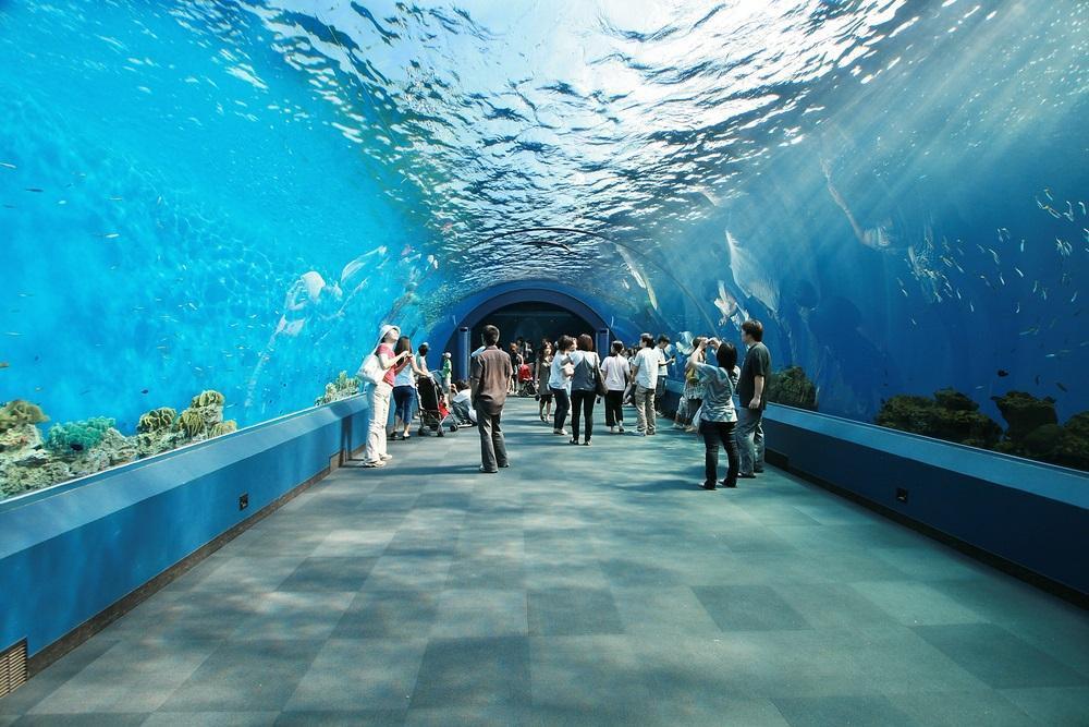 Ripley's Aquarium of Myrtle Beach