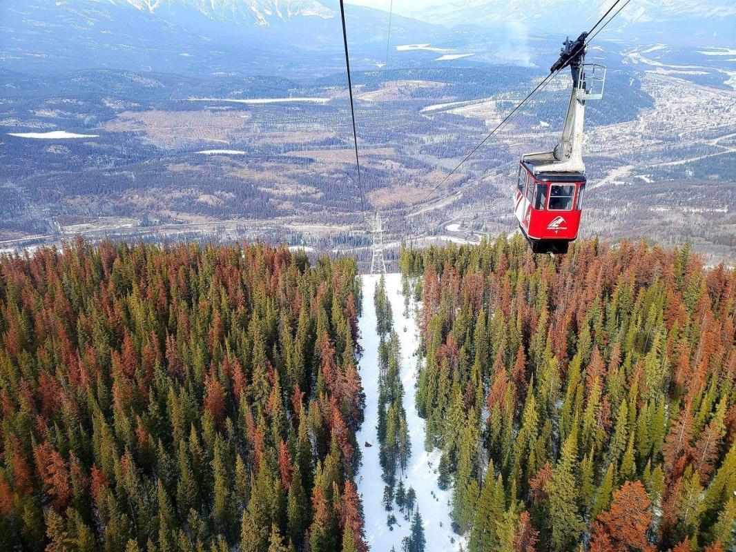 Jasper SkyTram