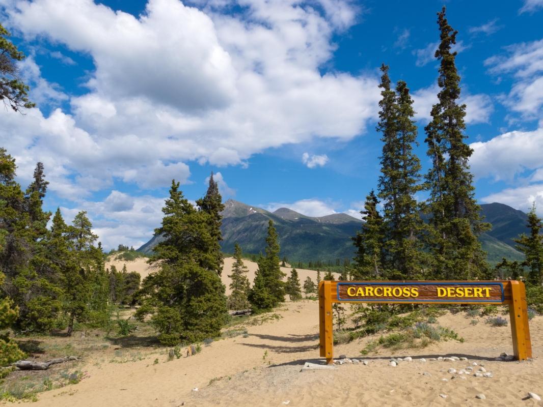 Carcross