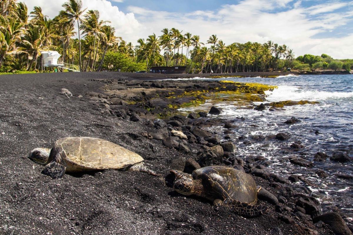 Punaluʻu Black Sand Beach