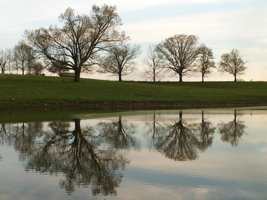 College of the Ozarks