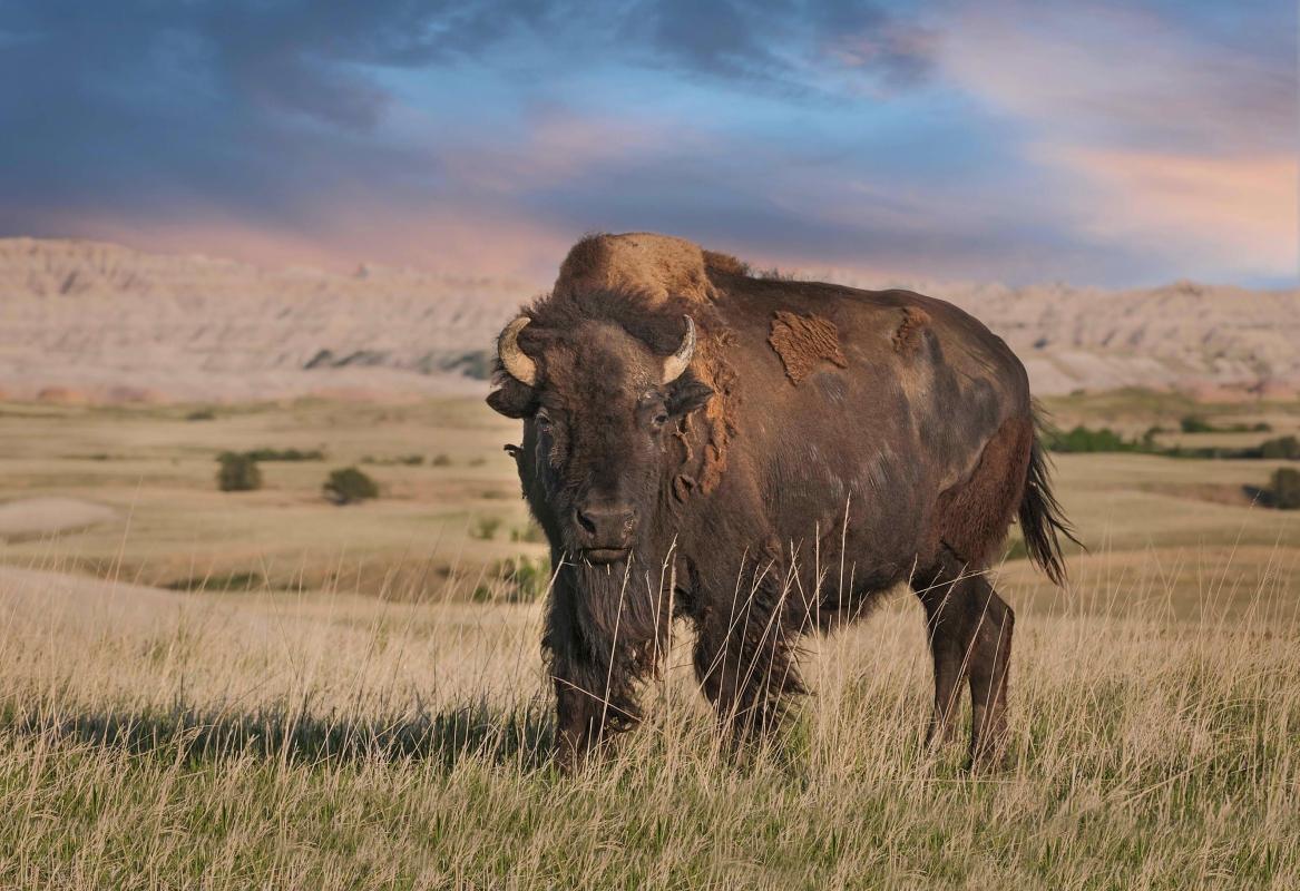 Badlands National Park