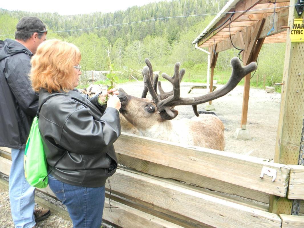 Alaska Rainforest Sanctuary