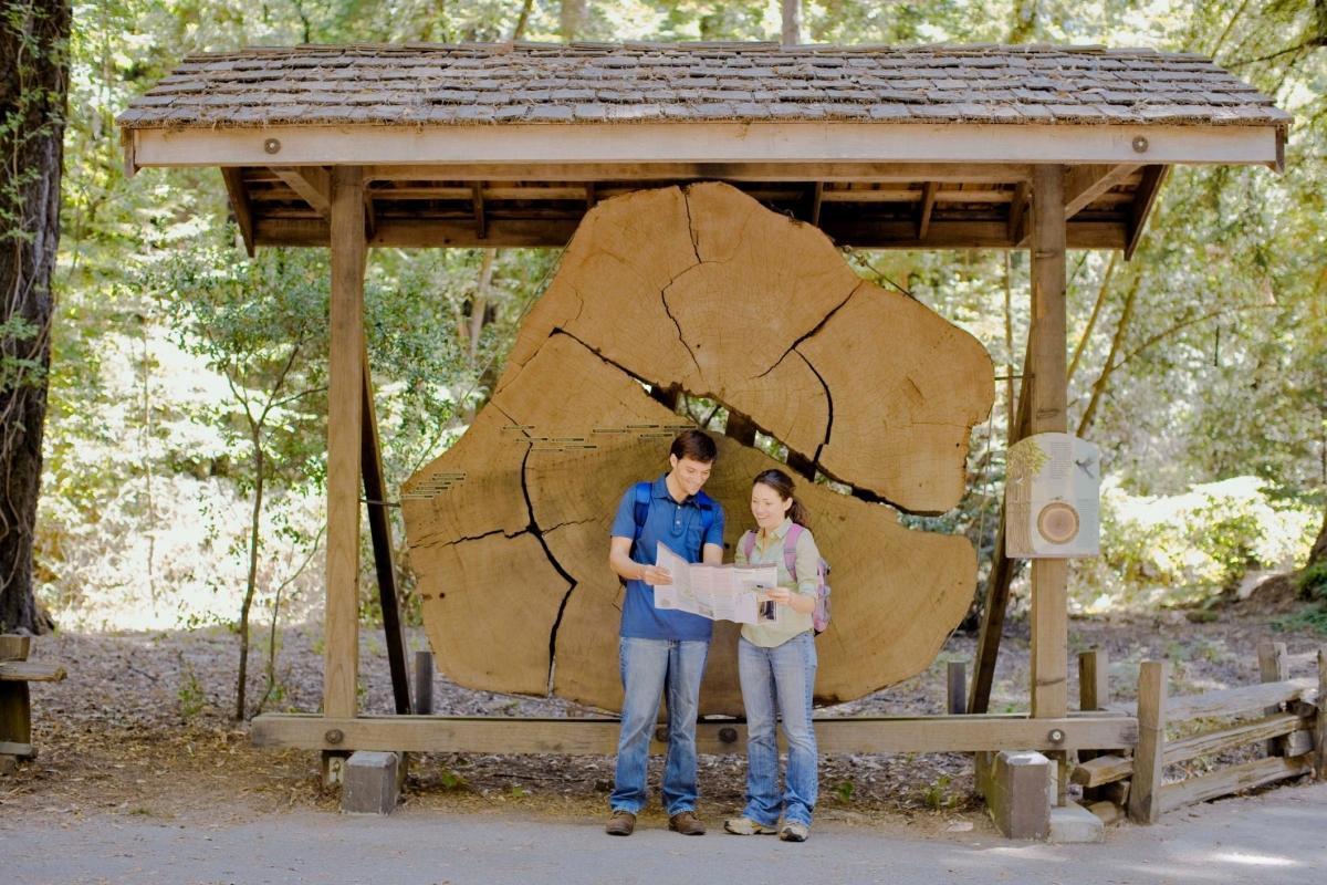 Henry Cowell Redwoods State Park