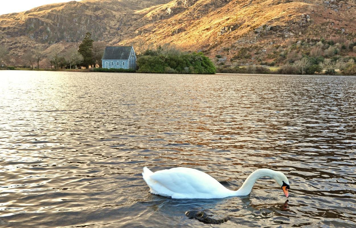 Gougane Barra