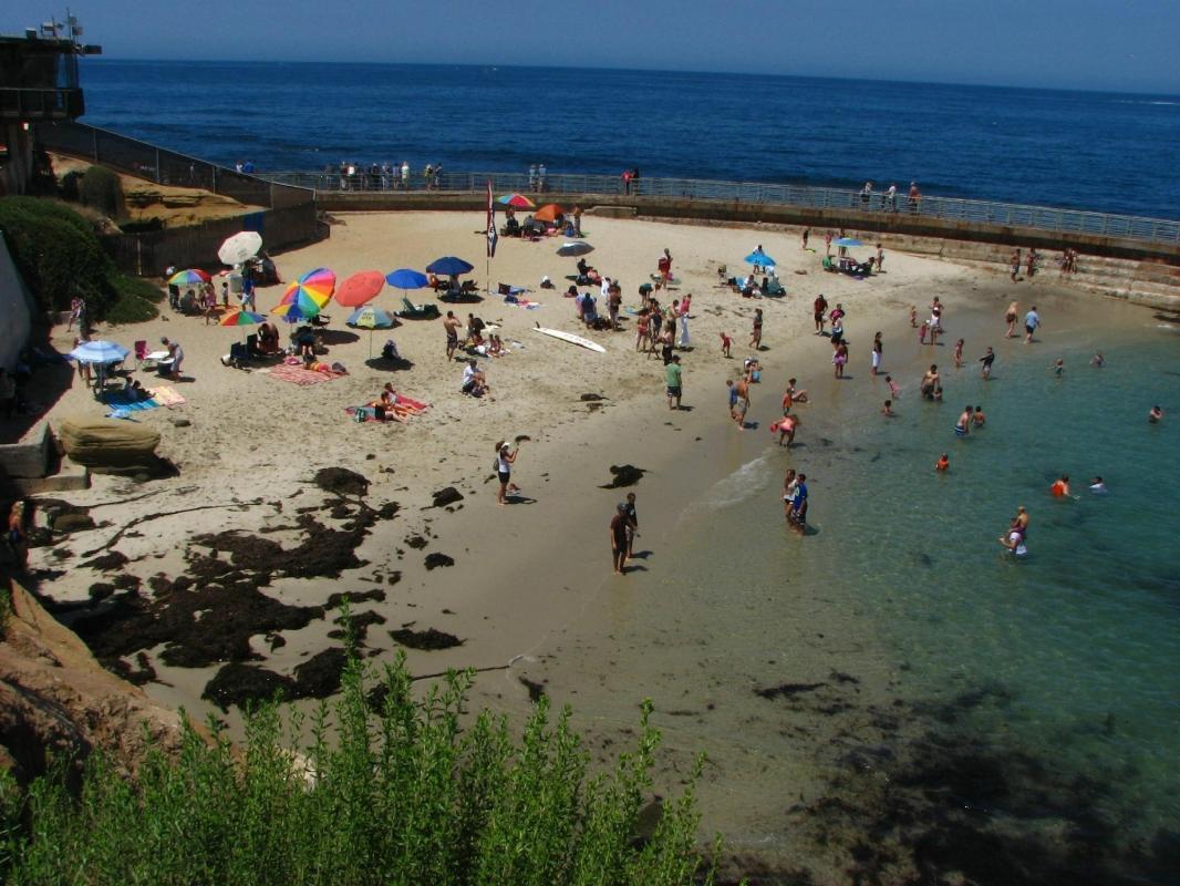 Children's Pool Beach