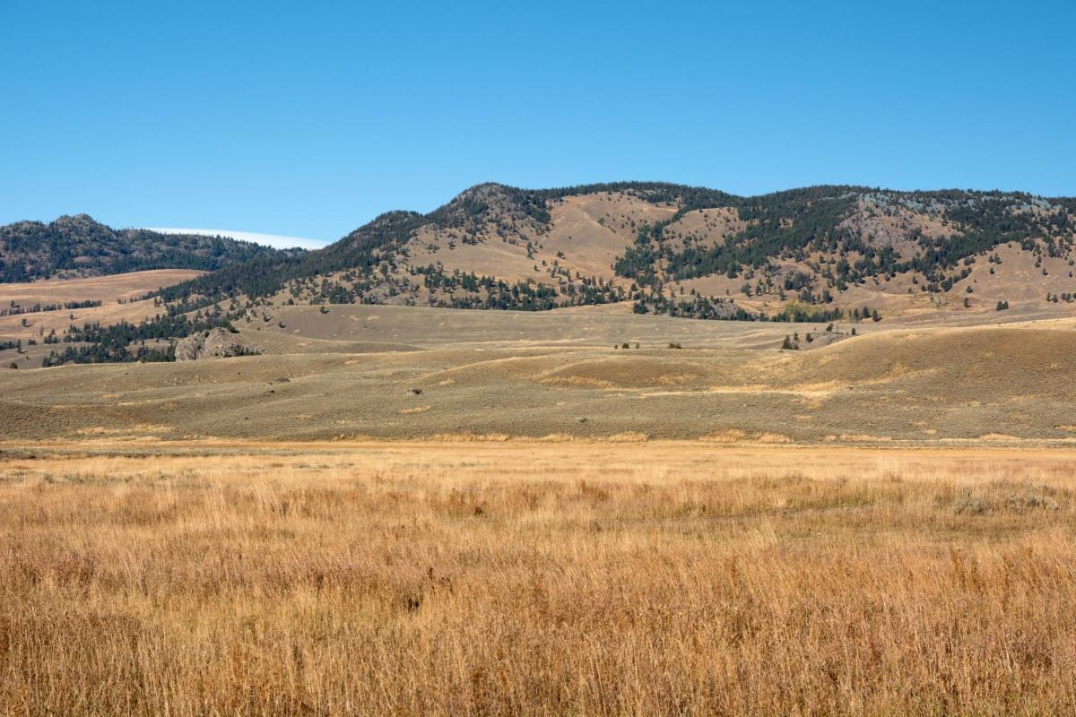 Lamar Valley