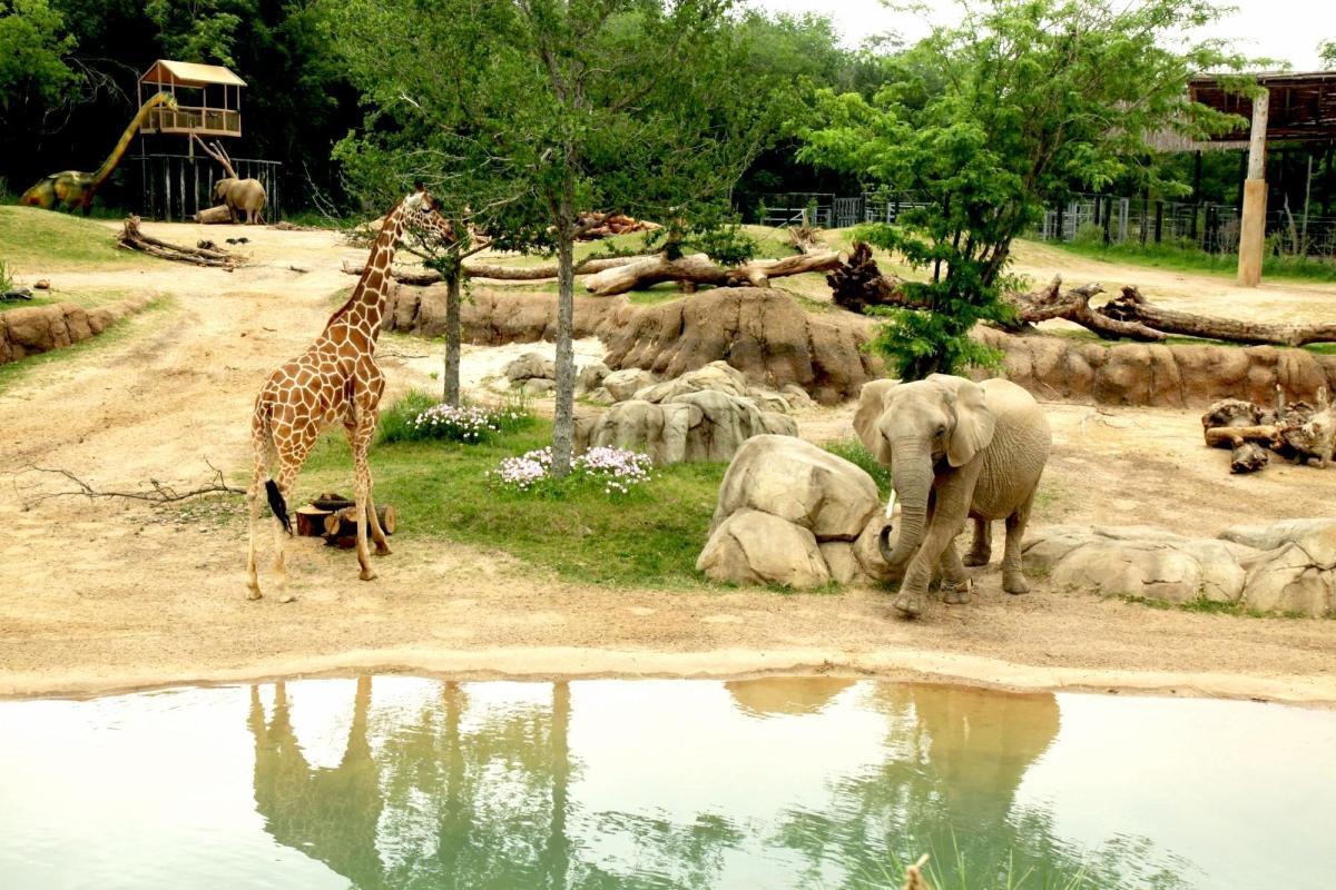 Dallas Zoo