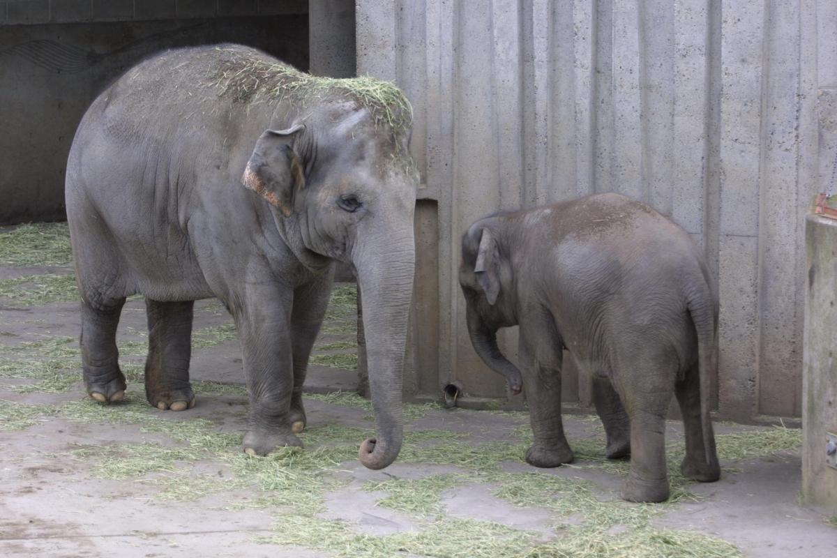 Oregon Zoo