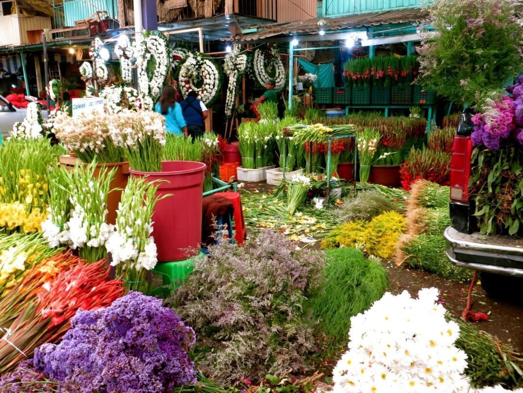 Jamaica Market (Mercado Jamaica)