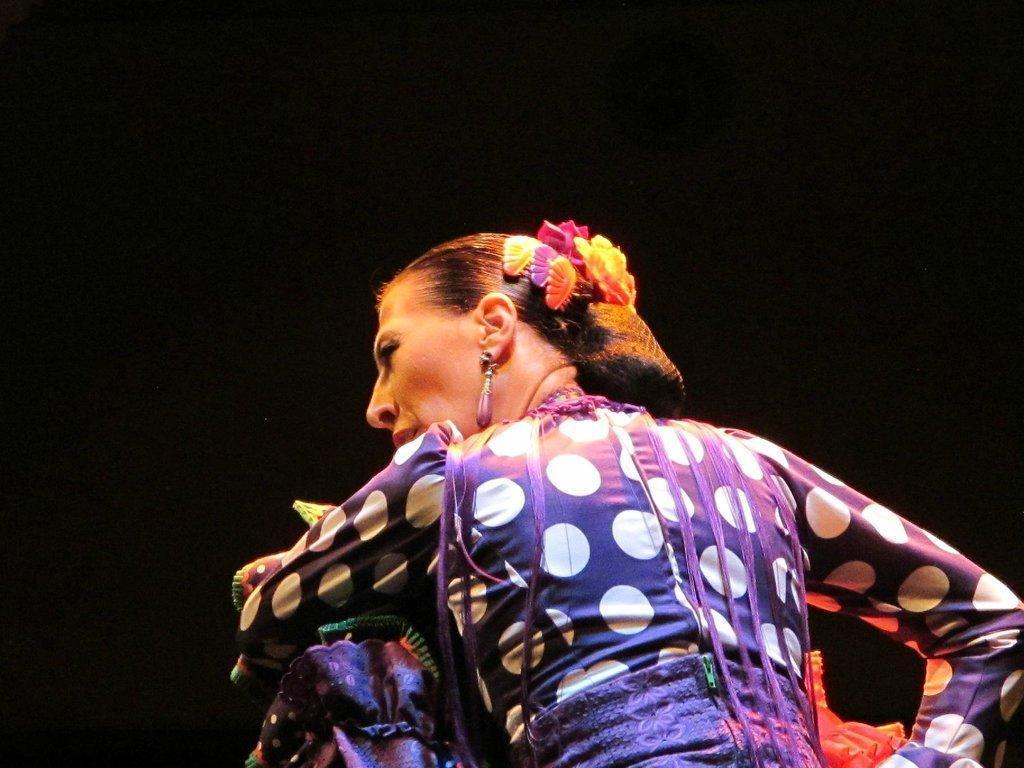 Flamenco Dance Museum (Museo del Baile Flamenco)