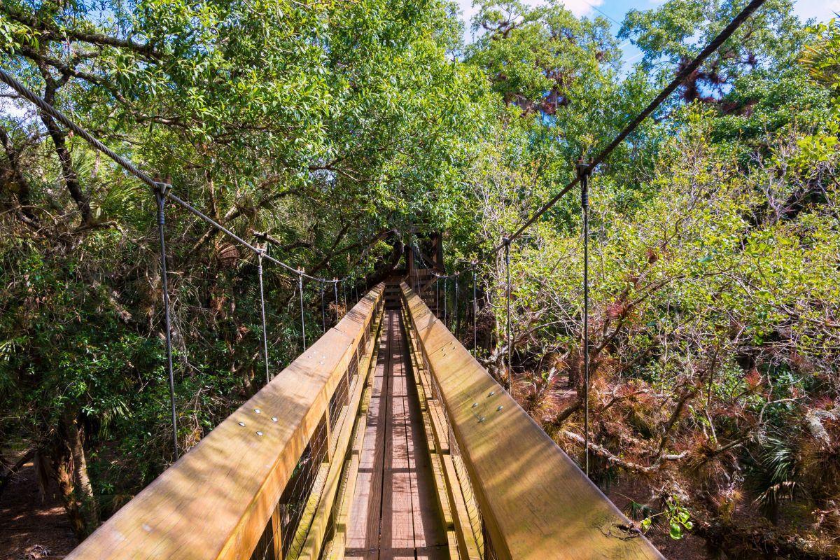 Myakka Canopy Walkway