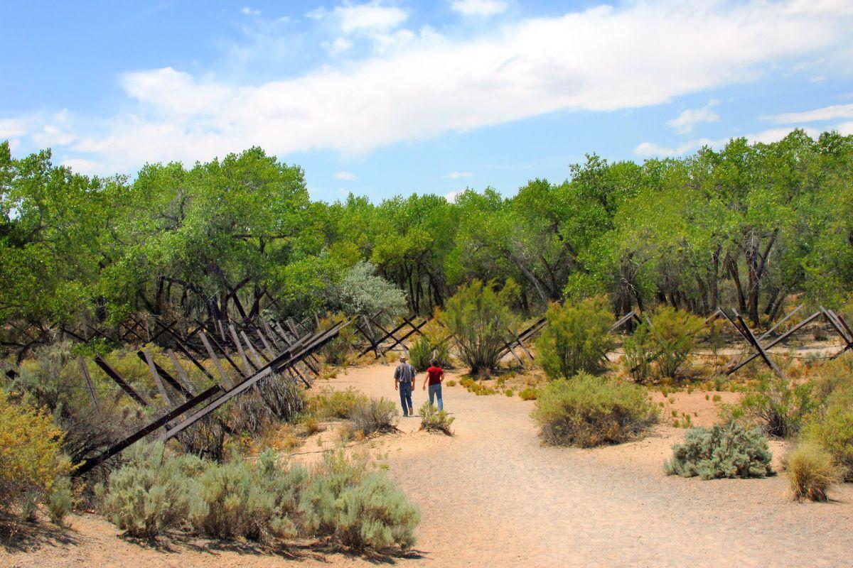 Rio Grande Nature Center State Park