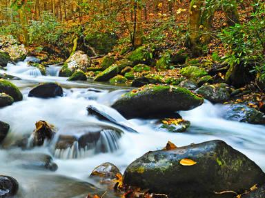 Great Smoky Mtns. National Park