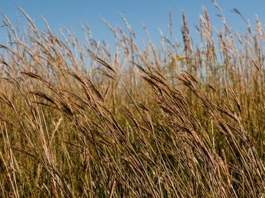 Flint Hills National Scenic Byway