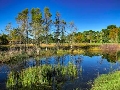 Creole Scenic Nature Trail