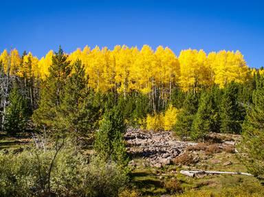 Flaming Gorge-Uintas Scenic Byway