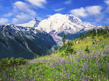 Mount Rainier National Park