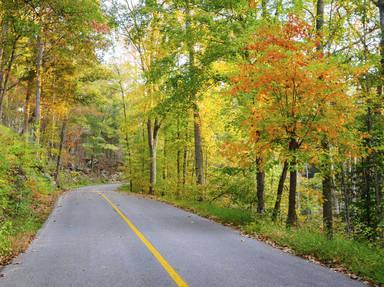 Mammoth Cave National Park