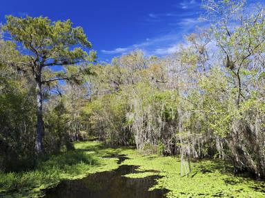 Big Cypress National Preserve