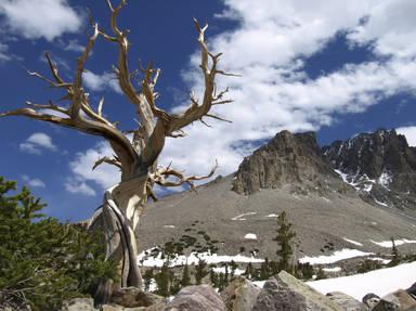 Great Basin National Park