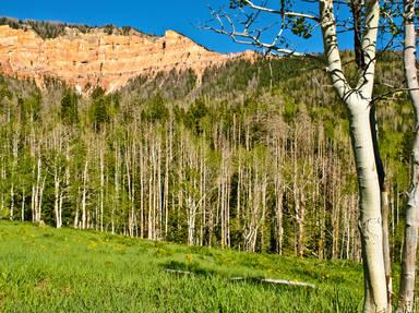 Markagunt High Plateau Scenic Byway