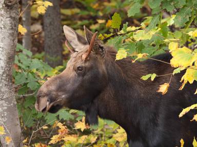 Kancamagus Scenic Byway