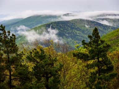 Arkansas' Talimena Scenic Drive