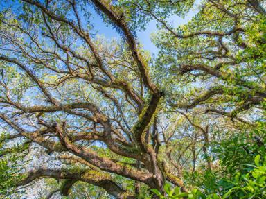 Ormond Loop & Trail Scenic Byway