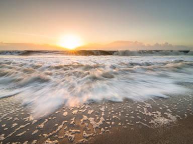 Edisto Island National Scenic Byway